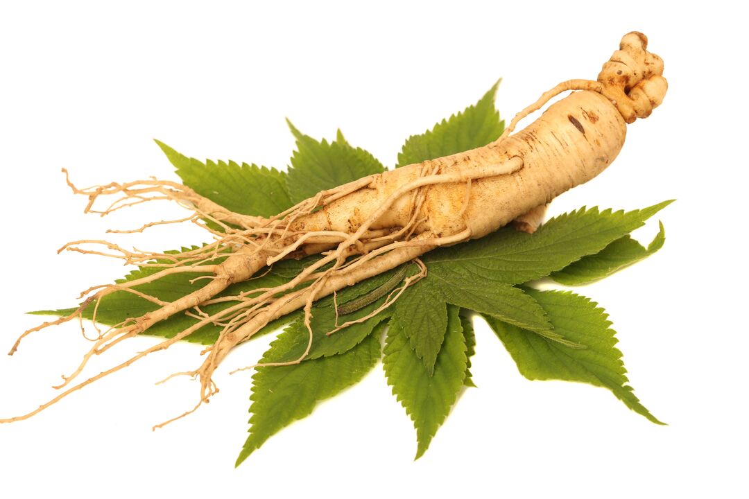 Ginseng - ein Element der Zusammensetzung Alfazone