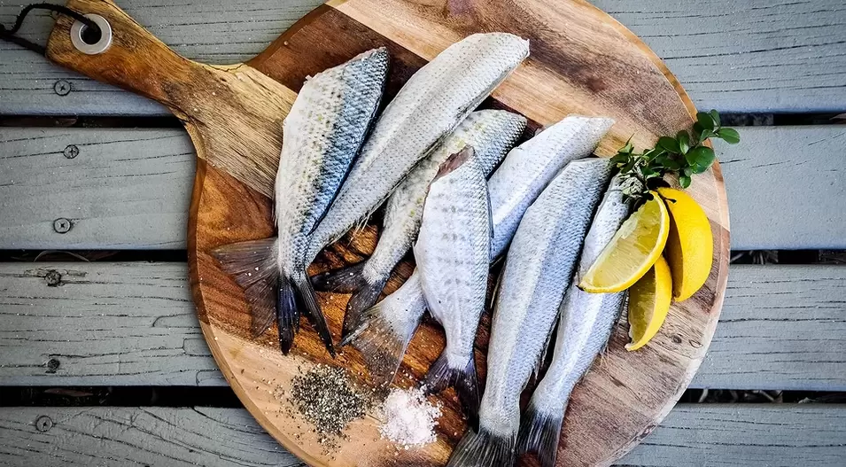 Fischen Sie nach Potenz