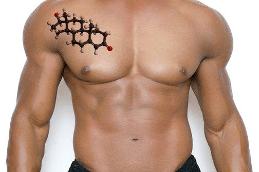 hübscher männlicher Torso